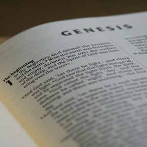 Understanding the Bible